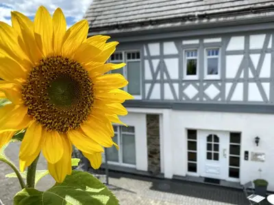 Ferienwohnung für 3 Personen (35 m²) in Höhr-Grenzhausen 6/10