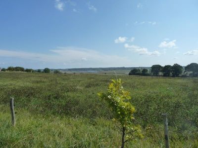 Naturschutzgebiet Binnensee