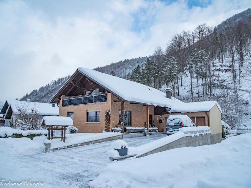 22379383-Ferienwohnung-8-Hollenstein an der Ybbs-800x600-1