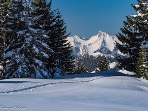 22379383-Ferienwohnung-8-Hollenstein an der Ybbs-300x225-5