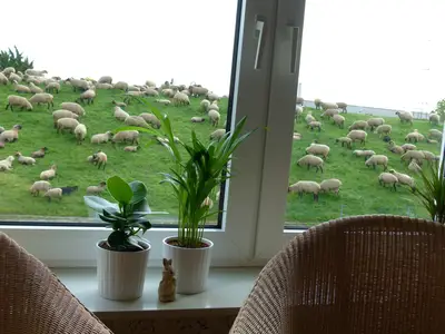 Ferienwohnung für 2 Personen (74 m²) in Hollern-Twielenfleth 8/10