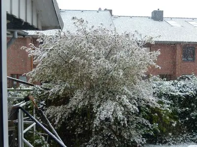 Ferienwohnung für 4 Personen (74 m²) in Hollern-Twielenfleth 2/10