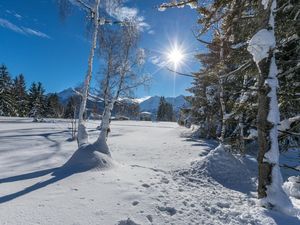 23589157-Ferienwohnung-6-Hollersbach im Pinzgau-300x225-5