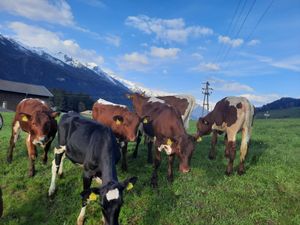 864525-Ferienwohnung-4-Hollersbach im Pinzgau-300x225-2