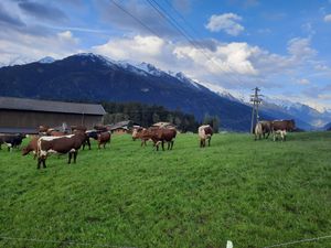 17967745-Ferienwohnung-4-Hollersbach im Pinzgau-300x225-5