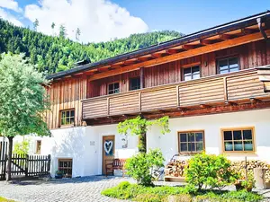 Ferienwohnung für 3 Personen (75 m²) in Hollersbach im Pinzgau