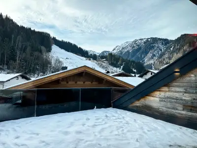 Ferienwohnung für 8 Personen (120 m²) in Hollersbach im Pinzgau 9/10