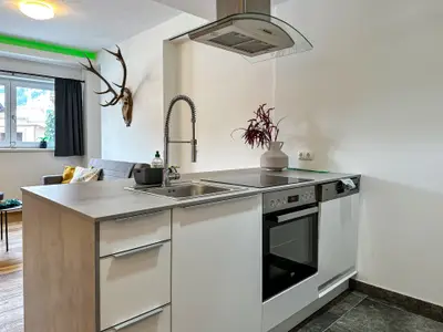 Ferienwohnung für 6 Personen (100 m²) in Hollersbach im Pinzgau 10/10