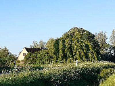 Ferienwohnung für 4 Personen (100 m²) in Hollingstedt 7/10