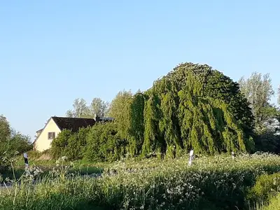 Ferienwohnung für 4 Personen (100 m²) in Hollingstedt 7/10