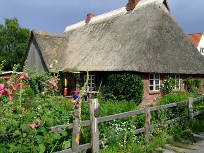 Ferienwohnung für 2 Personen (28 m²) in Holzdorf 1/10