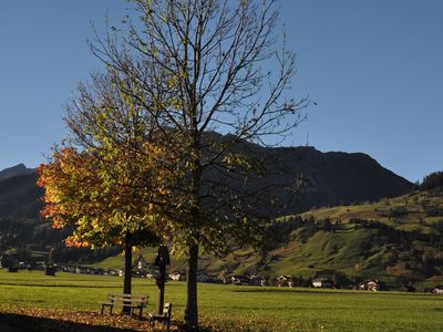 Blick nach Holzgau