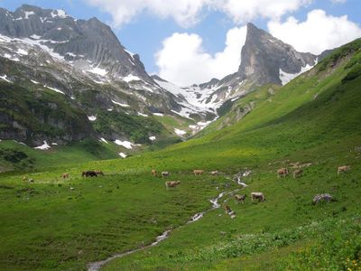 Auf der Alm