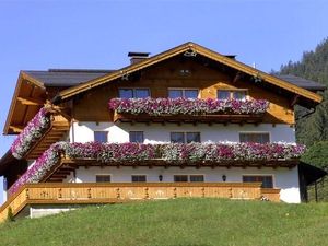 Ferienwohnung für 4 Personen (53 m²) in Holzgau