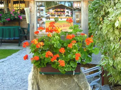 Infotafel