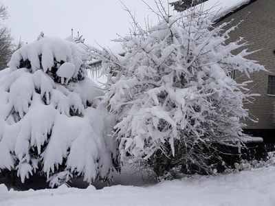 Moosberg-Haus-Mizzi im Schnee