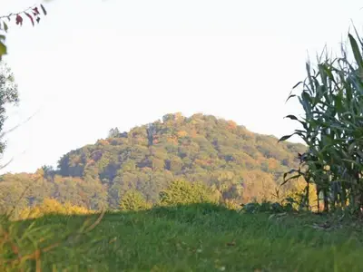 Wildpark
