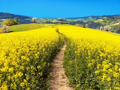 Wunderschöne Wanderwege