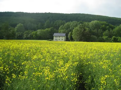 Lage des Hauses, hinter dem Hügel befindet sich die Stadt Homberg Efze