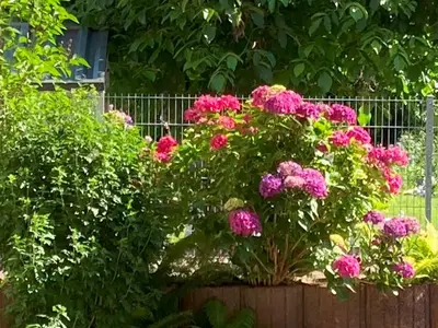 Ferienwohnung für 2 Personen (70 m²) in Homburg 7/10