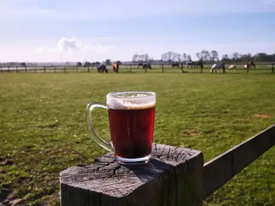 TRABERHOF_HOOKSIEL_05_2025_DIV_085