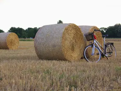 sommerzeit-erntezeit