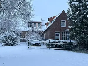 Ferienwohnung für 5 Personen (75 m²) in Hooksiel