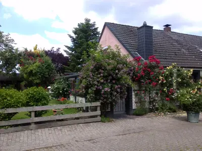 Ferienwohnung für 3 Personen (50 m²) in Hooksiel 2/10