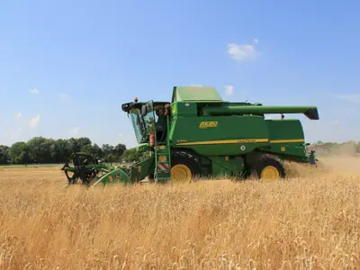 sommerzeiterntezeit2