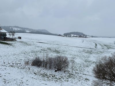 Winterbild_2