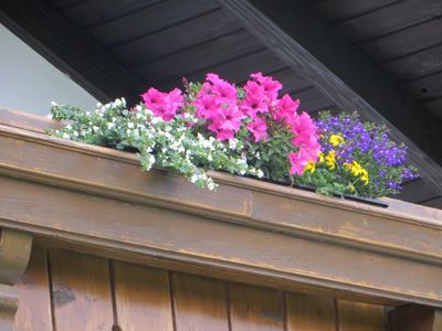 Balkon mit Blumen