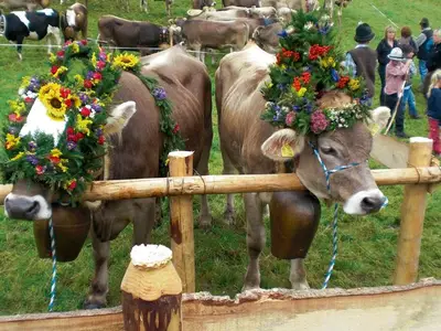 Ferienwohnung für 2 Personen (45 m²) in Hopferau 7/10