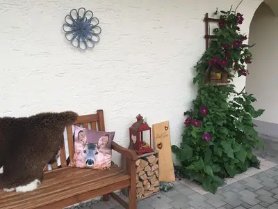 Ferienwohnung für 2 Personen (45 m²) in Hopferau 10/10