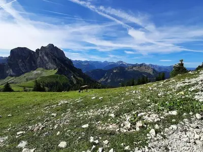 Ferienwohnung für 2 Personen (45 m²) in Hopferau 6/10