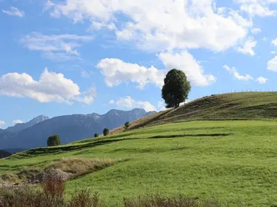 Ferienwohnung für 2 Personen (55 m²) in Hopferau 9/10