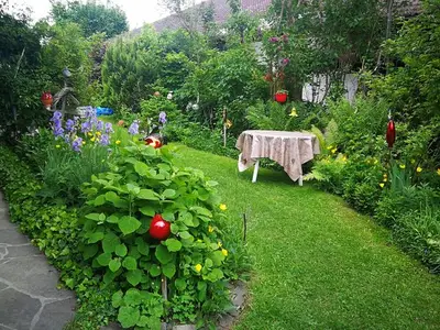 Ferienwohnung für 2 Personen (50 m²) in Hopferau 7/10