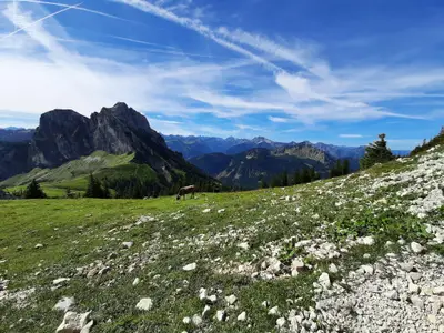 Landschaft