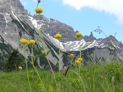 Ferienwohnung für 5 Personen (85 m²) in Hopferau 10/10
