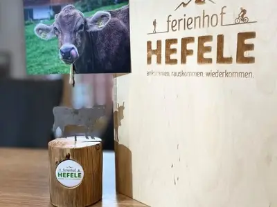 Ferienwohnung für 4 Personen (64 m²) in Hopferau 4/10