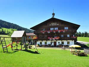 Ferienwohnung für 6 Personen (50 m²) in Hopfgarten im Brixental