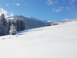 23846116-Ferienwohnung-6-Hopfgarten im Brixental-300x225-4