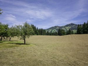 23128181-Ferienwohnung-6-Hopfgarten im Brixental-300x225-1