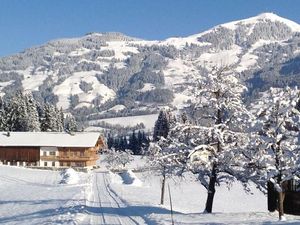 23128181-Ferienwohnung-6-Hopfgarten im Brixental-300x225-4