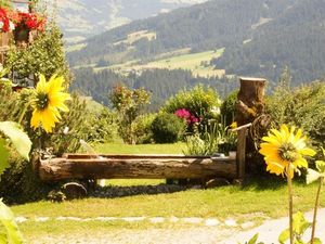 23571472-Ferienwohnung-8-Hopfgarten im Brixental-300x225-5