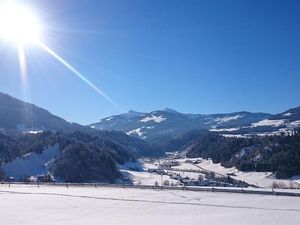 23527822-Ferienwohnung-4-Hopfgarten im Brixental-300x225-3