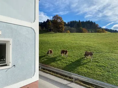 Ferienwohnung für 4 Personen (75 m²) in Hopfgarten im Brixental 10/10