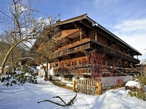 Ferienwohnung für 3 Personen (20 m²) in Hopfgarten im Brixental