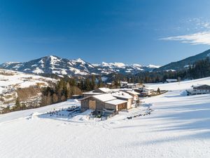 Ferienwohnung für 8 Personen (130 m²) in Hopfgarten im Brixental