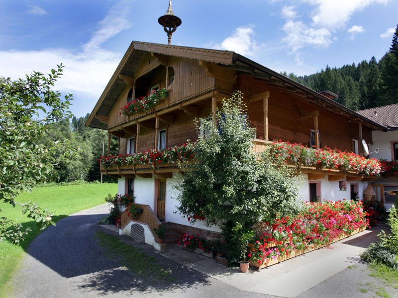 23896231-Ferienwohnung-5-Hopfgarten im Brixental-800x600-0