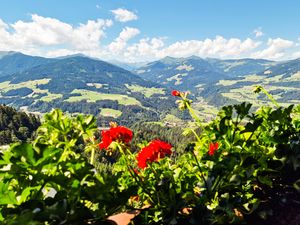 24037690-Ferienwohnung-4-Hopfgarten im Brixental-300x225-1